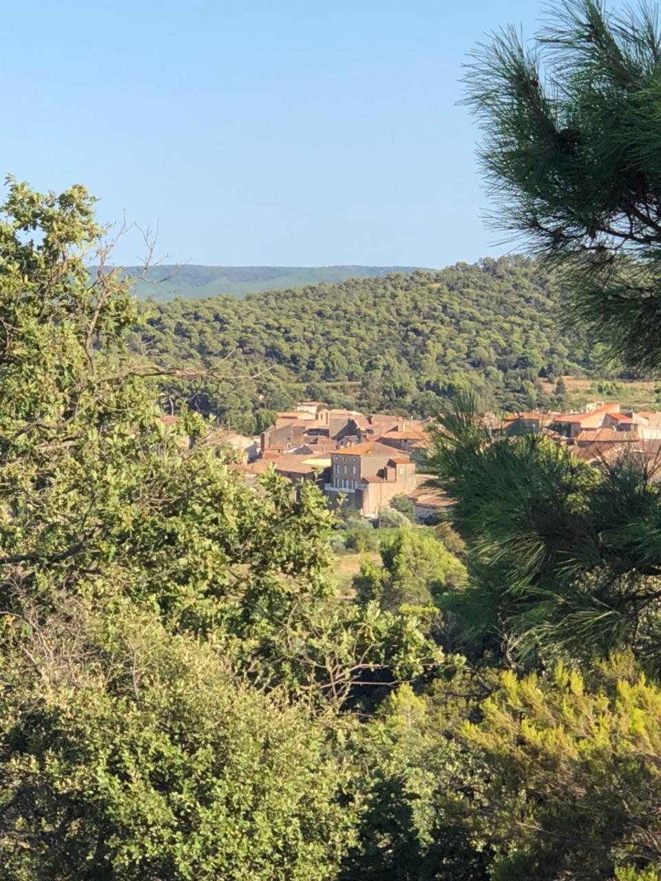 B&B Domaine Du Griffon Boutenac Exterior foto